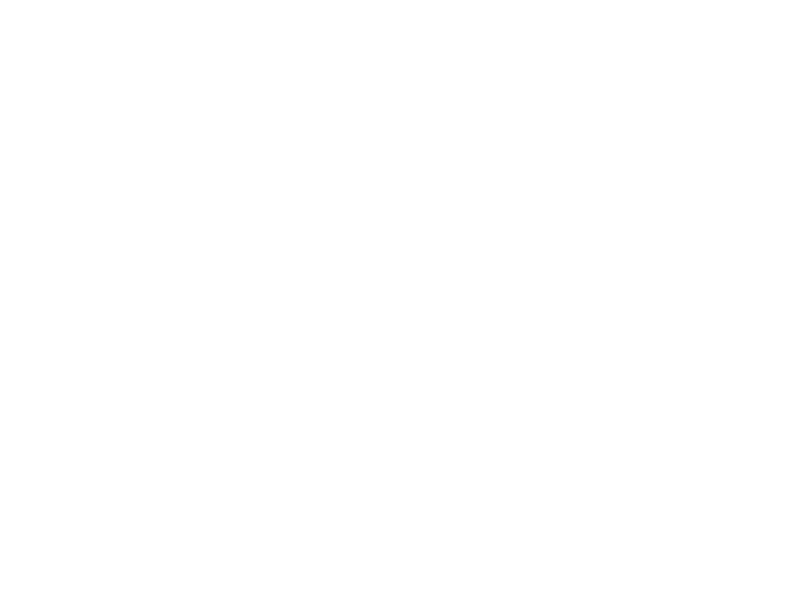 Hotel Perry
