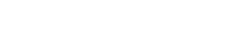 Pointer Boat